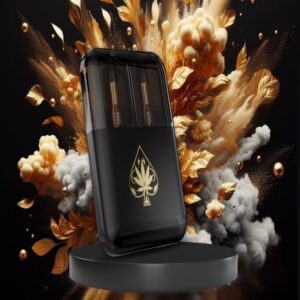 Ace Dual Generation 2 Disposable Vape – Long-Lasting Flavor