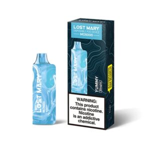 Lost Mary MO5000 Disposable Vape – 5000 Puffs