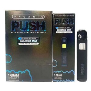 PUSH 1 Gram Disposable Vape – Premium Quality, Smooth Vapor