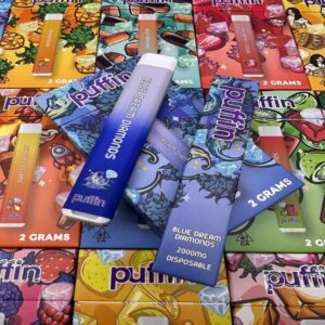 Puffin 2G Disposable Vape – Premium Quality, Long-Lasting