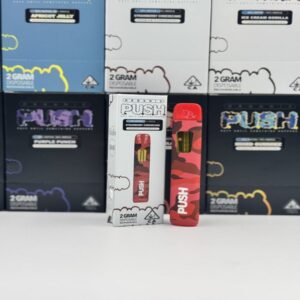 Push 2G Disposable Vape – Premium Cannabis Distillate